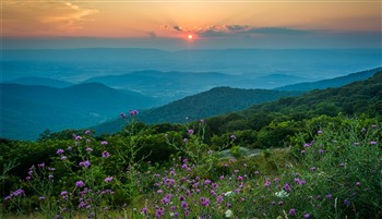 2023067 Virginia Food, Wine & Spirit Trail