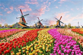 2026028 Holland Windmills, Waterways & Tulips 