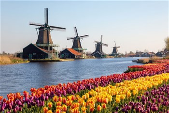 2026079 Holland Windmills, Waterways & Tulips