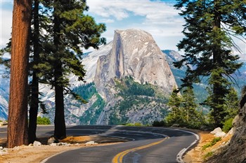 2024034 California Dreamin
