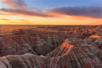 2027037 America's Cowboy Country