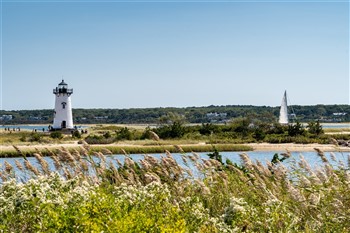 2025042 Cape Cod