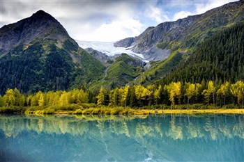 2023042 Alaska: Call of the Wild