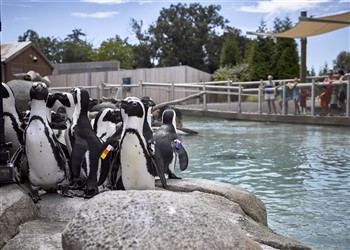 2026119 Explore Batimore from A to Z 