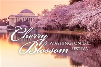 2023099 Cherry Blossom Odyssey Lunch Cruise