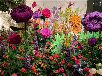 2024048 Philadelphia Flower Show 2024
