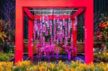2026053 Philadelphia Flower Show