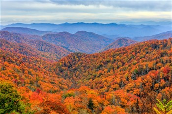 2023040 Nashville, Smokey Mountains & Bluegrass