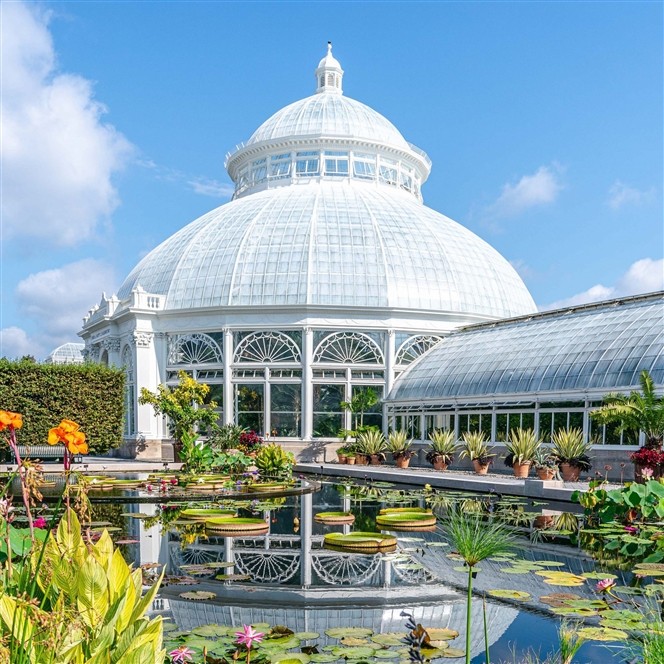 2026074  NYBG  Orchid Show 2026