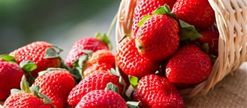 2023091 Peddlers Village Strawberry Day with Lunch